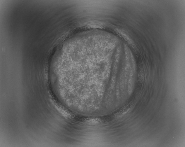 X0000073840402200609071546