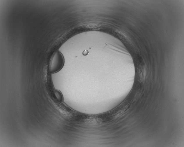 X0000073840404200609071546