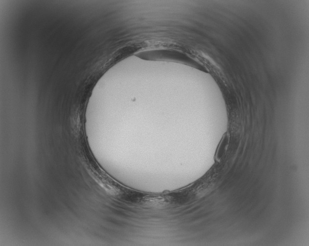 X0000073840405200609071546