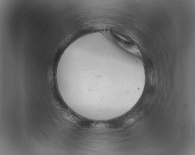 X0000073840407200609071546