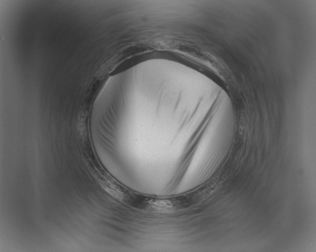 X0000073840409200609071546