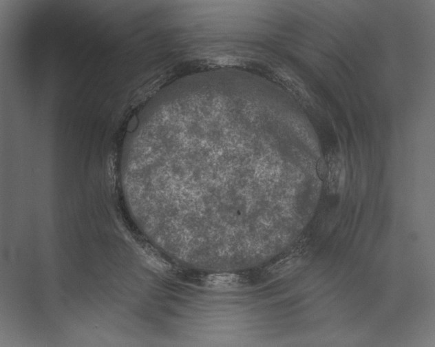 X0000073840410200609071546