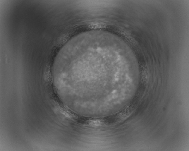 X0000073840411200609071546