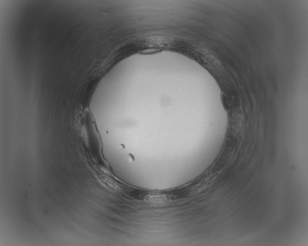 X0000073840413200609071546