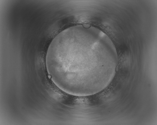 X0000073840415200609071546