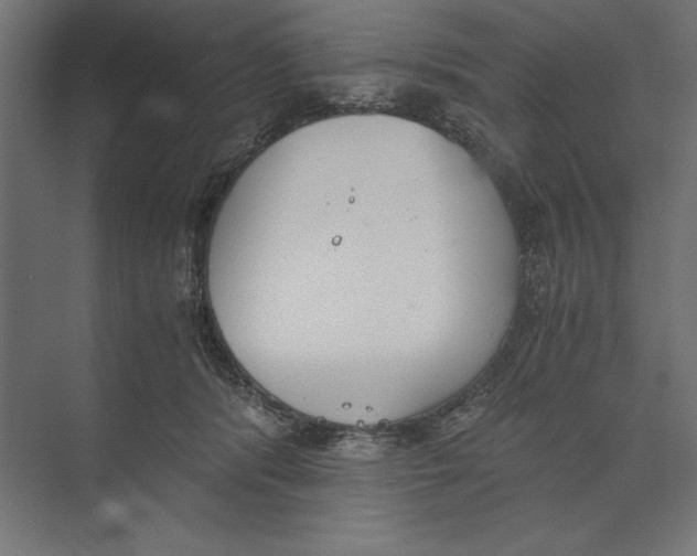 X0000073840416200609071546