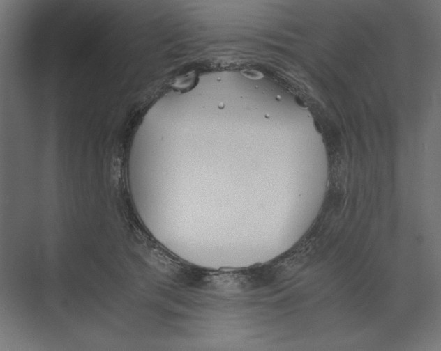 X0000073840417200609071546