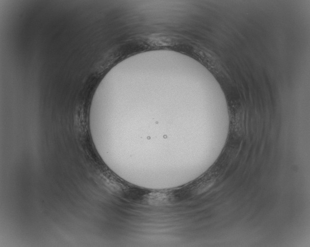 X0000073840418200609071546