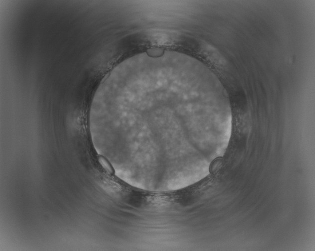 X0000073840419200609071546