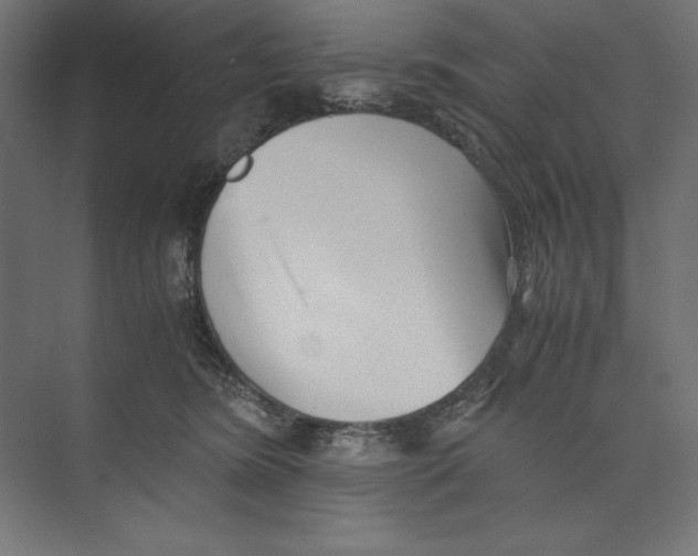 X0000073840420200609071546