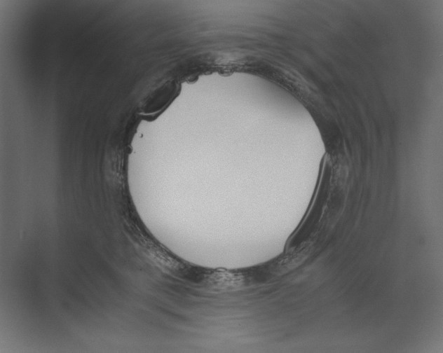 X0000073840421200609071546