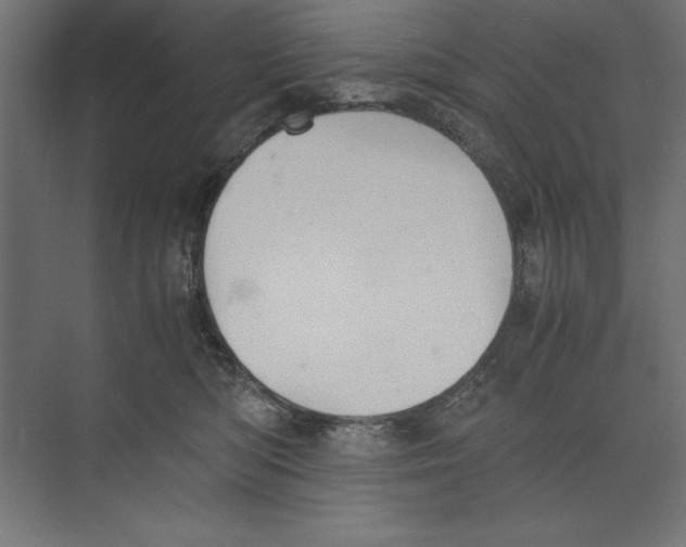 X0000073840422200609071546