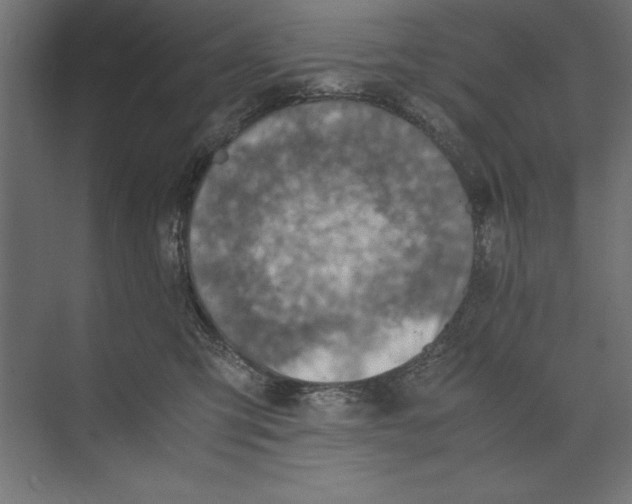 X0000073840423200609071546