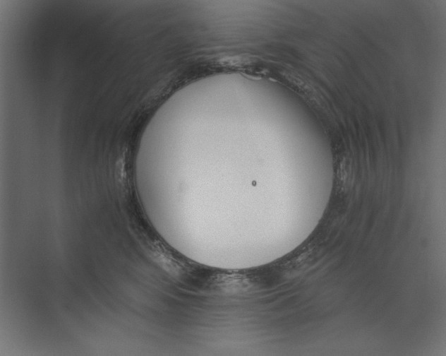 X0000073840424200609071546