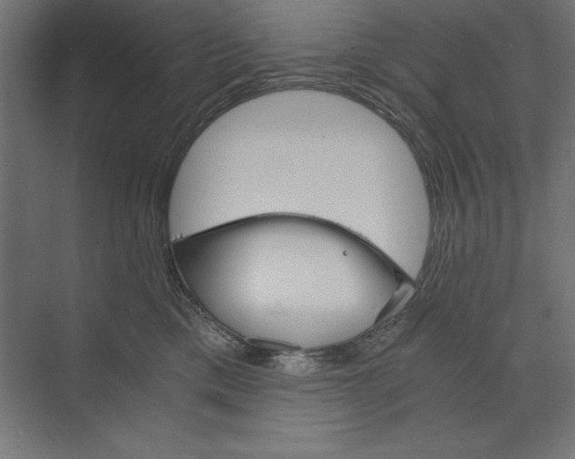 X0000073840425200609071546