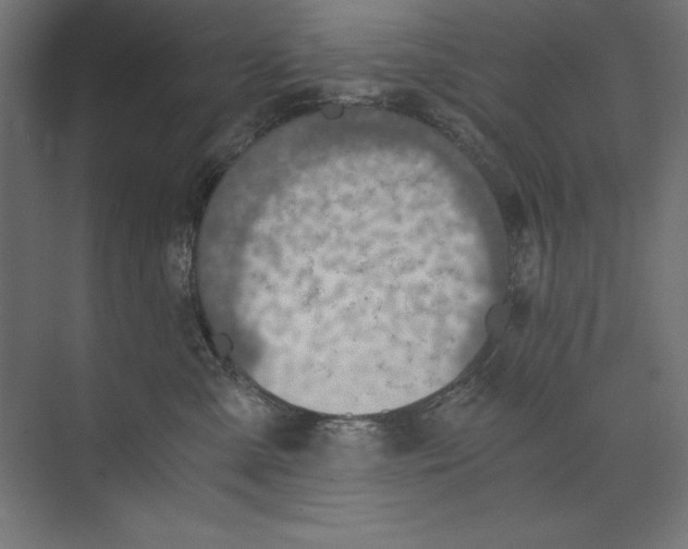 X0000073840427200609071546