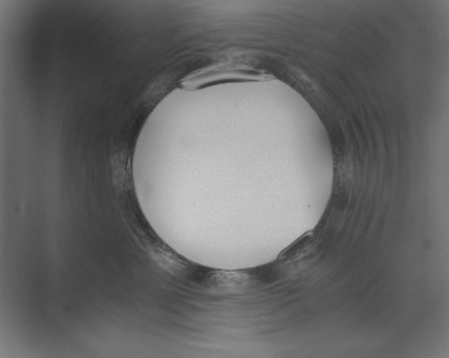 X0000073840429200609071546