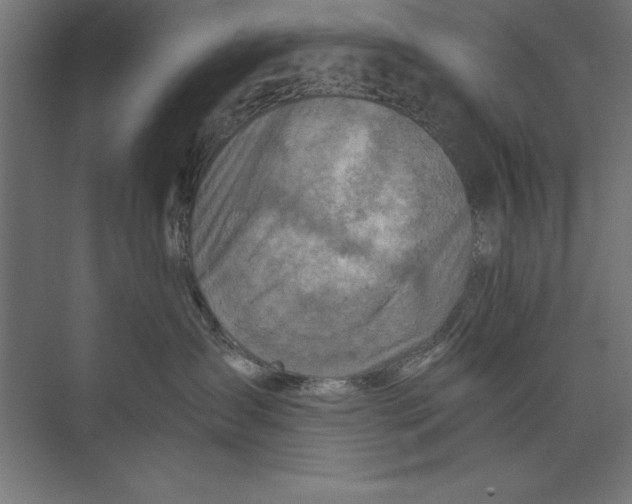 X0000073840431200609071546