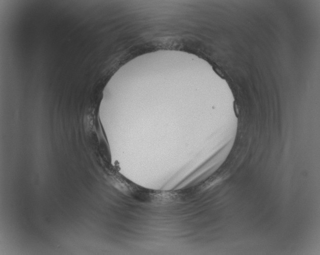 X0000073840432200609071546