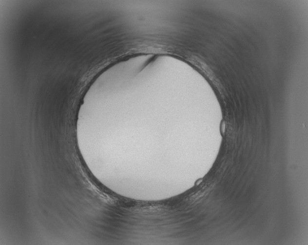 X0000073840433200609071545