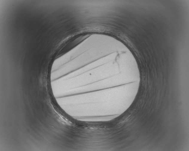 X0000073840434200609071545