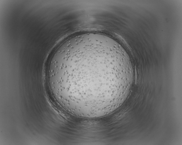 X0000073840435200609071545