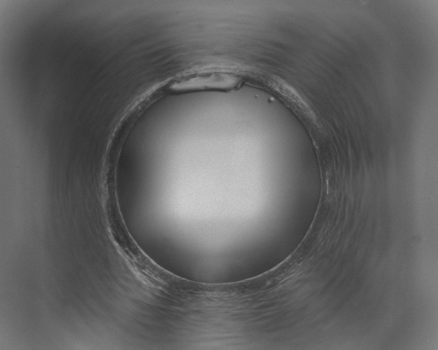 X0000073840436200609071545