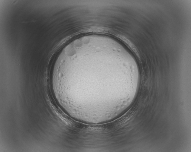 X0000073840437200609071545