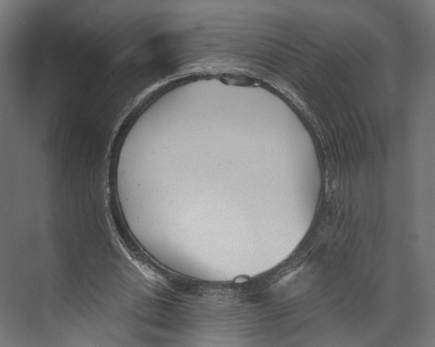 X0000073840438200609071545