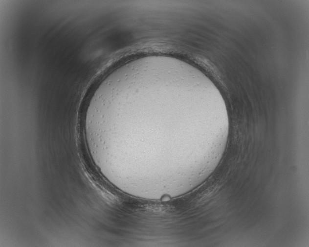 X0000073840439200609071545