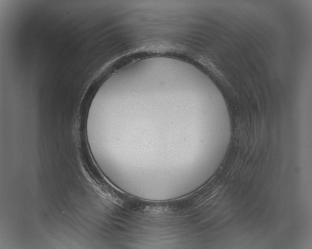 X0000073840440200609071545