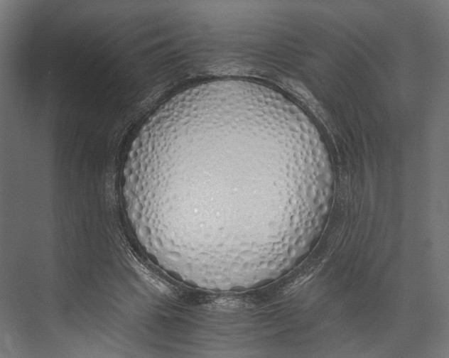 X0000073840441200609071545