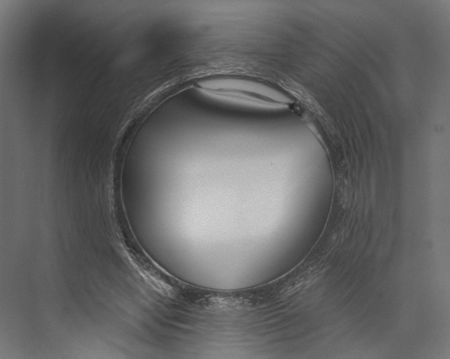 X0000073840442200609071545