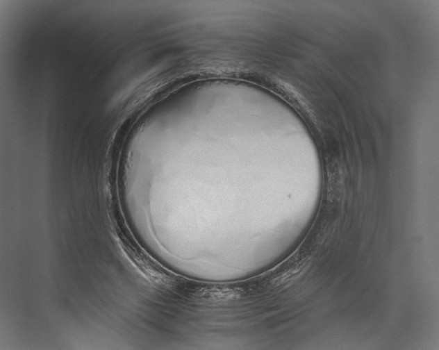 X0000073840443200609071545