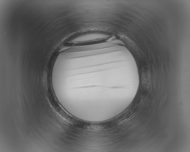 X0000073840444200609071545