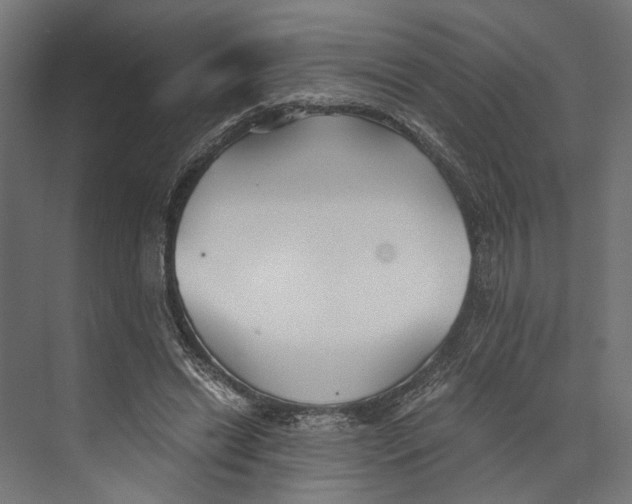 X0000073840446200609071545