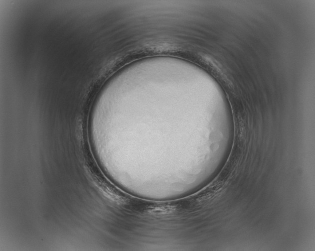 X0000073840447200609071545