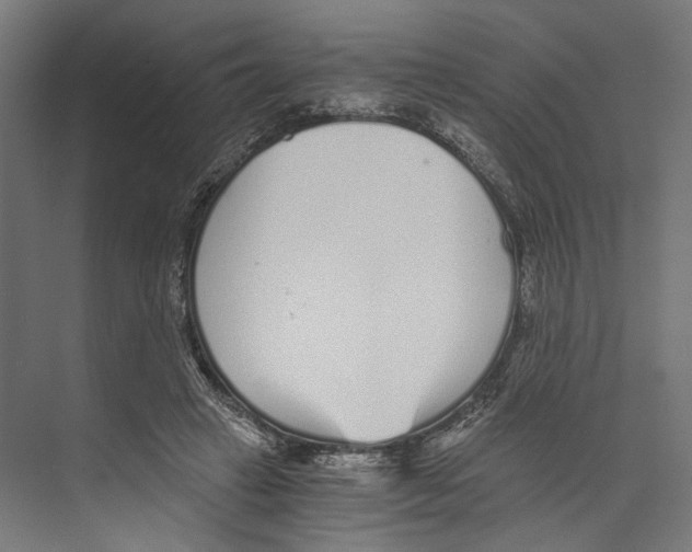 X0000073840449200609071545