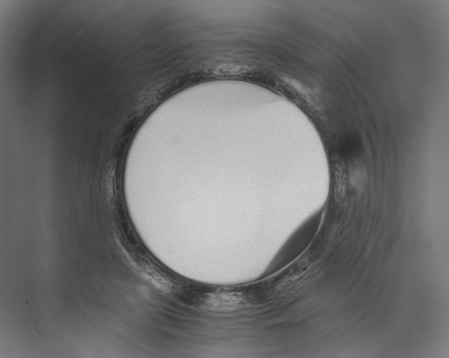 X0000073840451200609071545