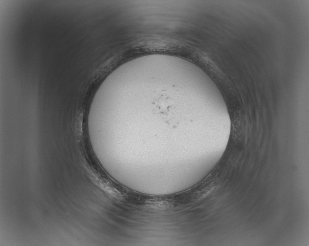 X0000073840454200609071545