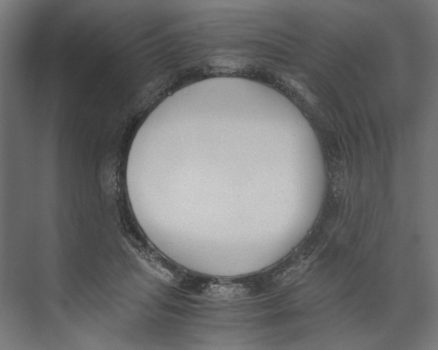 X0000073840455200609071545