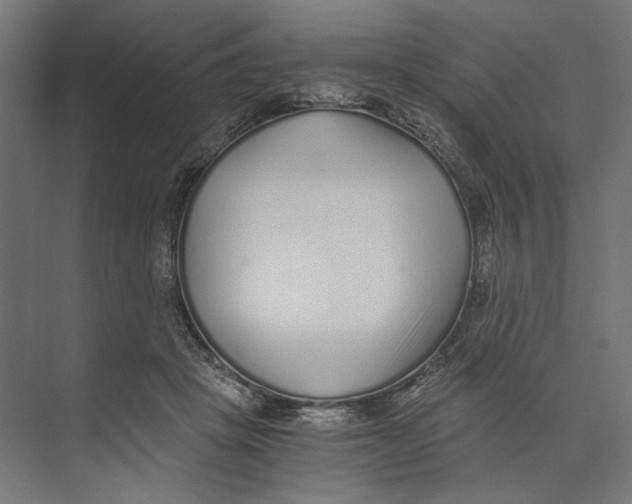 X0000073840457200609071545