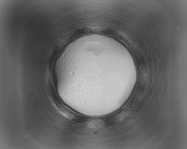 X0000073840459200609071545