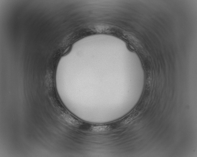 X0000073840461200609071545