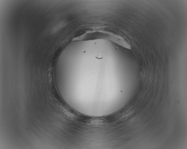 X0000073840462200609071545