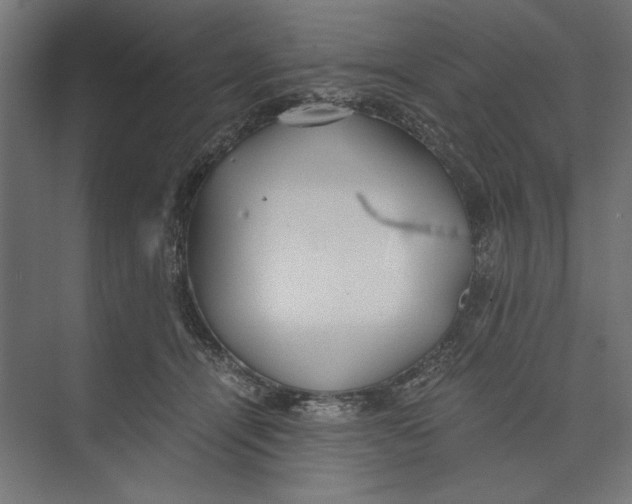 X0000073840464200609071545