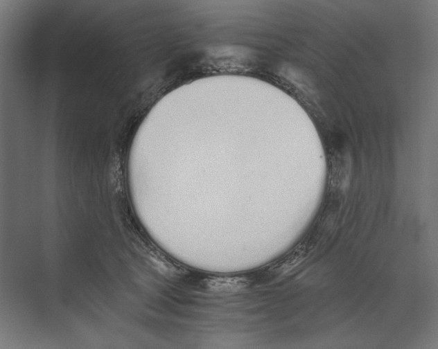 X0000073840465200609071545