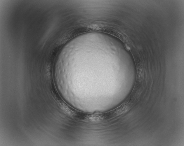 X0000073840466200609071545