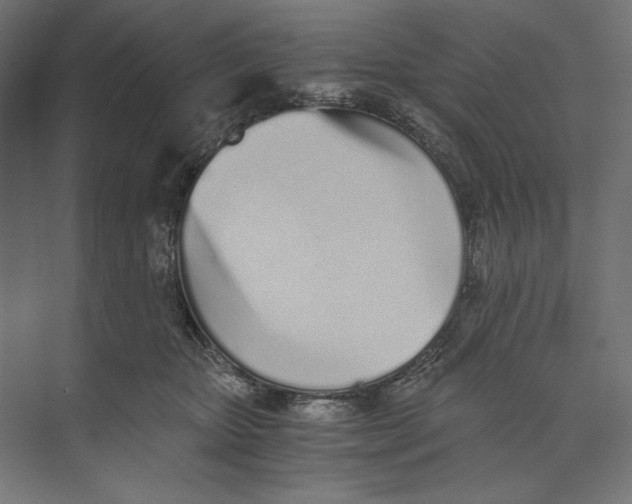 X0000073840467200609071545