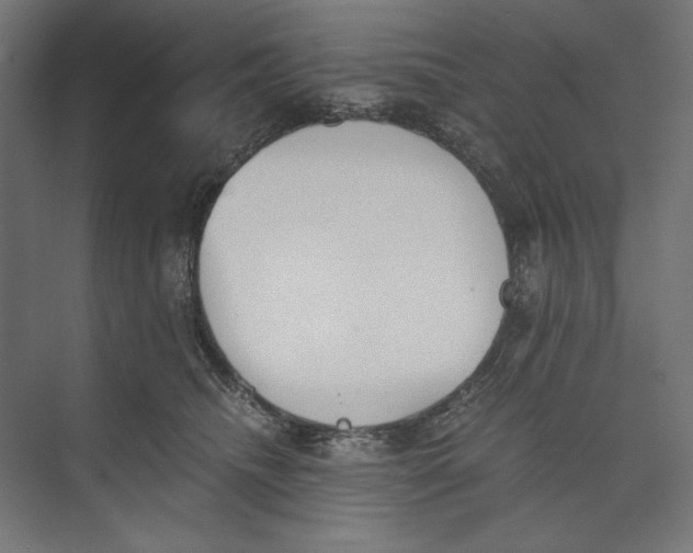 X0000073840468200609071545